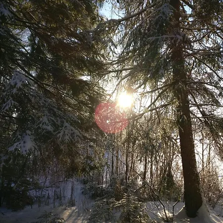 Private Lakeside In Nature