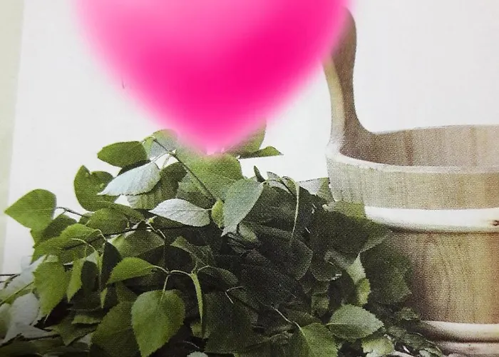 Private Lakeside In Nature