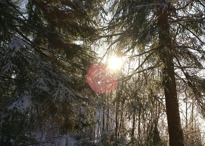 Private Lakeside In Nature