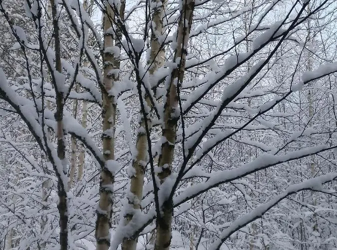 Private Lakeside In Nature *